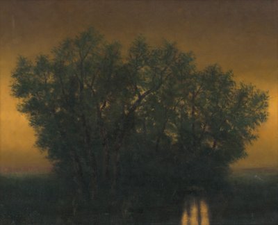Evening by Laszlo Mednyanszky